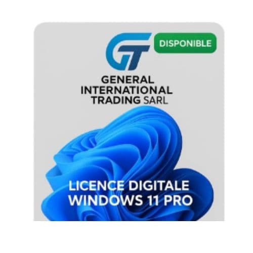Carte de licence numérique pour Windows 11 Pro, Garantie 1 Mois